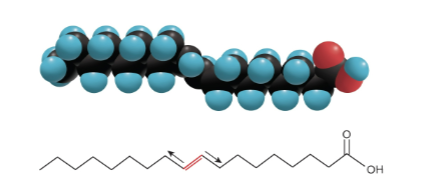 <p>Trans-fatty acids</p>