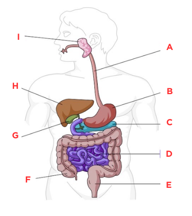 <p>What is C?</p>