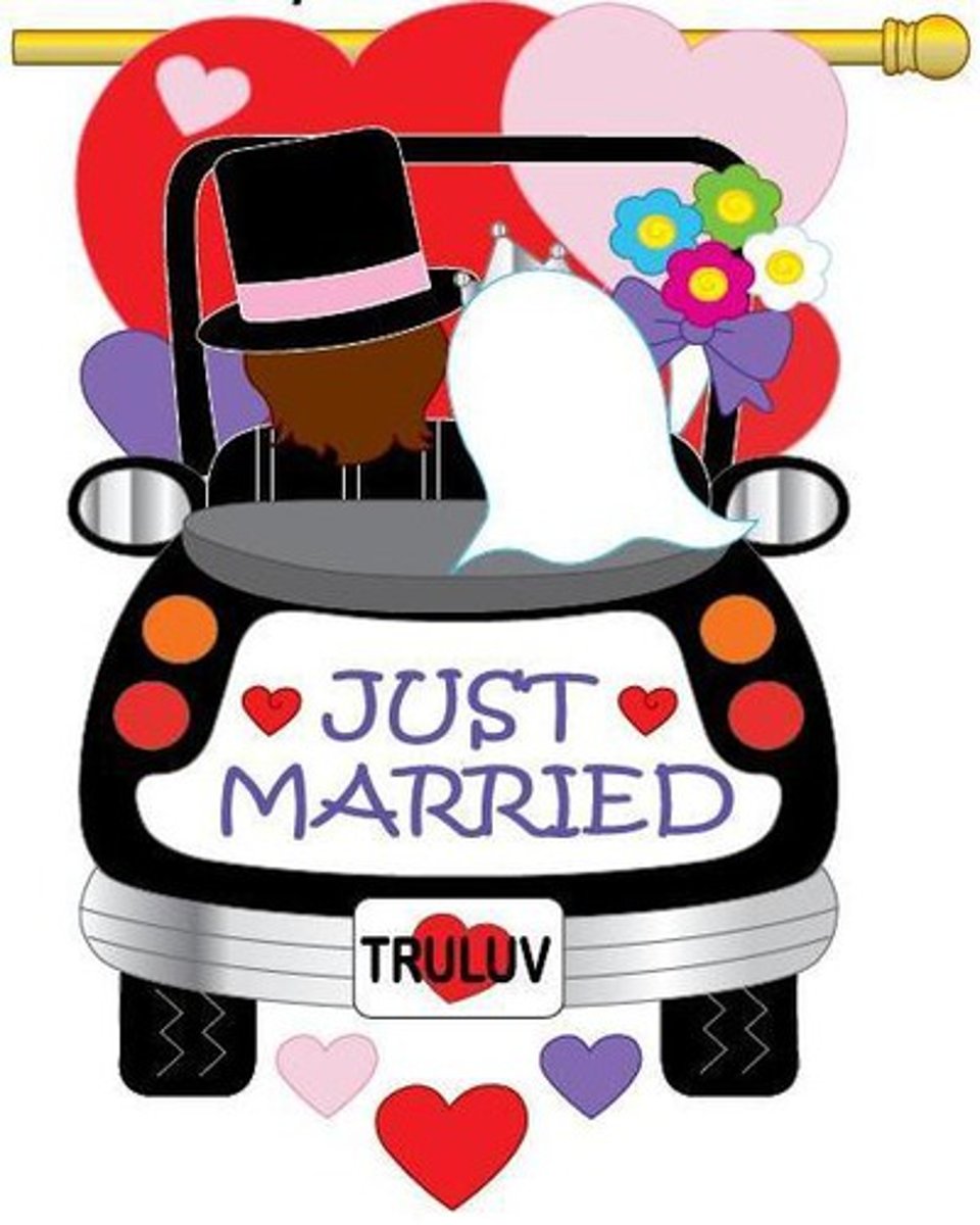 <p>newlywed / newlyweds</p>