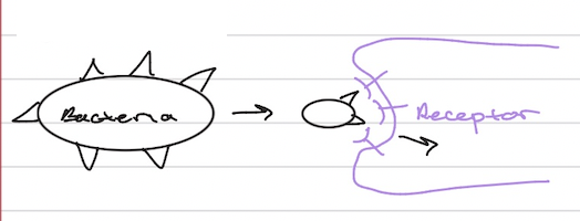 <p><span><span>enhancing the </span></span>delivery of bacteria or therapeutic agents to the lysosome<span><span> and modulating the lysosomal environment and activity</span></span></p>