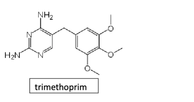 <p>inhibit dihydrofolate reductase in thymidine synthesis pathway</p>