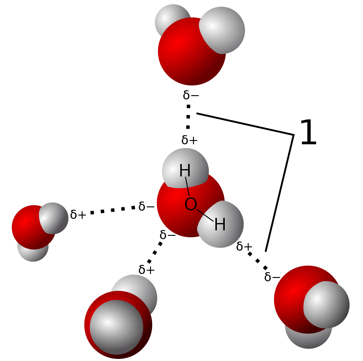 <p>A particularly strong intermolecular attraction which occurs between molecules in which hydrogen is bonded to the most electronegative atoms.</p>