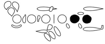<p>A</p>