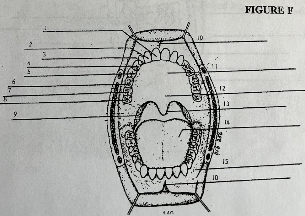 <p>what is 1</p>