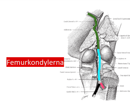 <p>Blå → Svart och rosa?</p>