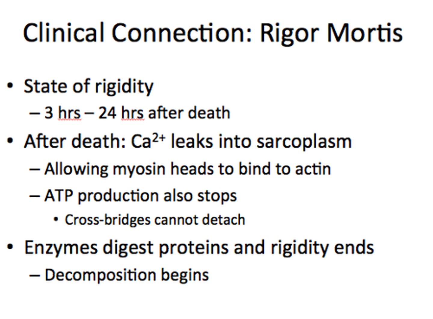 <p>a state of rigidity in muscle tissues during which they are unable to respond to stimuli due to the coagulation of muscle protein</p>
