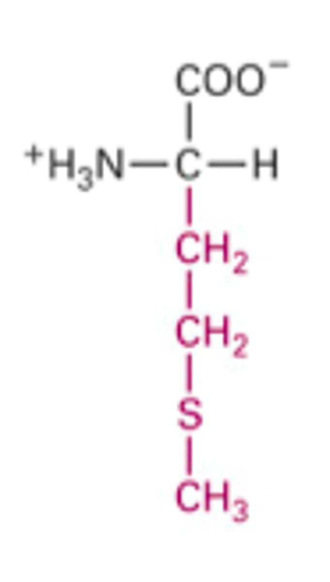<p>What Structure is this?</p>