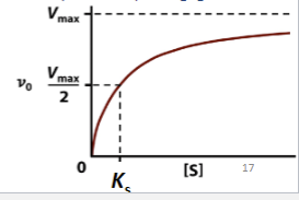 <p><span style="font-family: sans-serif">Ks corresponds to substrate conc at ½Vmax (initial velocity directly proportional to binding site occupancy, ½ maximal binding capacity, ½ maximal velocity)</span></p>