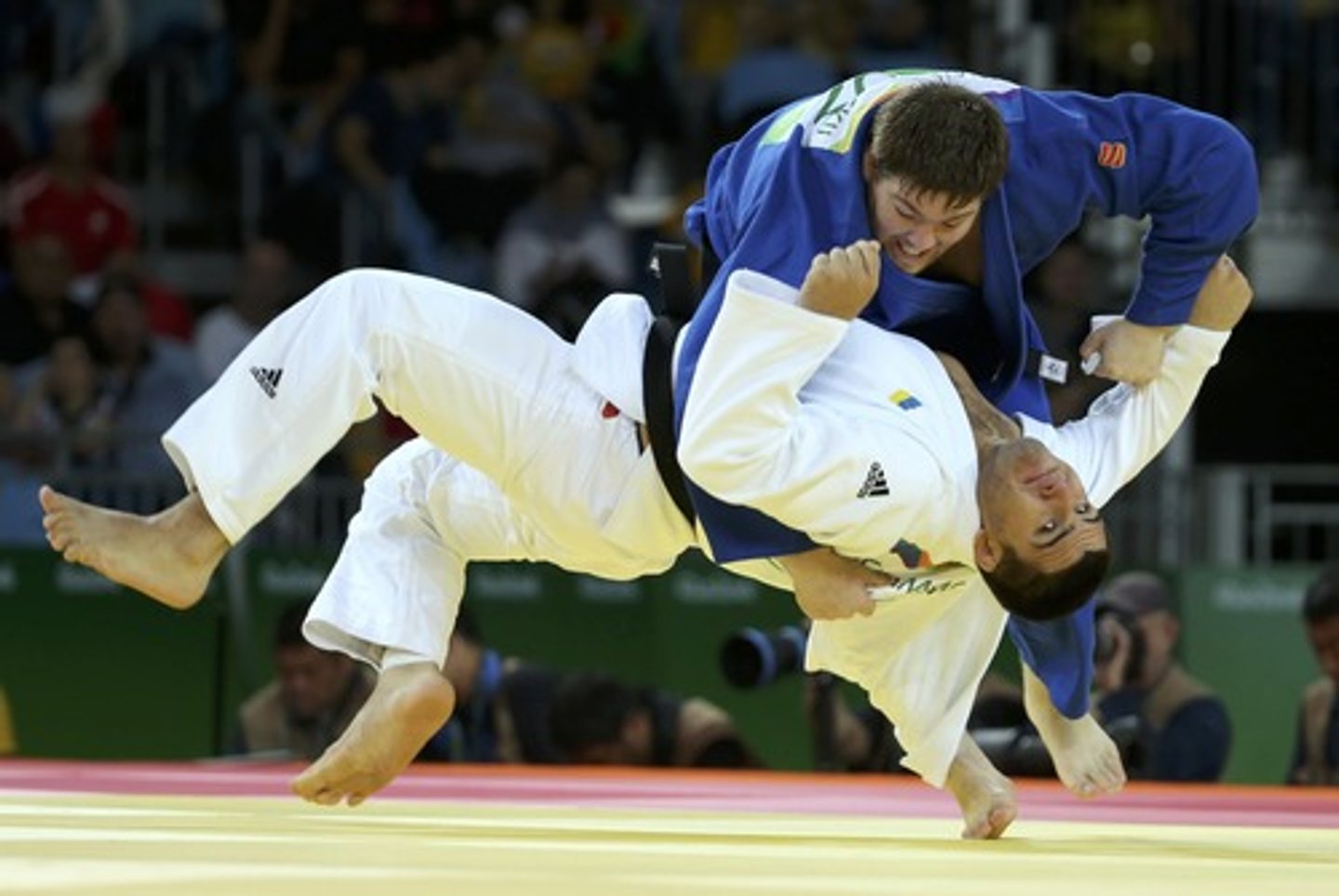 <p>(v.phr): tập võ judo</p>