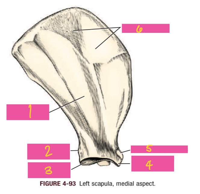 <p>2</p>