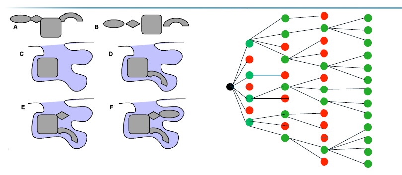<p>Deterministic: fast and reproducible</p><ol><li><p>fragment the ligand</p></li><li><p>choose core fragment (largest/most rigid)</p></li><li><p>Place core fragment in pocket and try all different orientations using shape complementarity</p></li><li><p>Incremently (1 by 1) add remaining fragment back to their original positions trying different torsions around the bonds</p></li><li><p>at each step only conformations that fit and avoid steric clashes are kept —> tree diagram</p></li><li><p>when fully reassembled: you have a set of ligand poses that can be scored</p></li></ol><p></p>