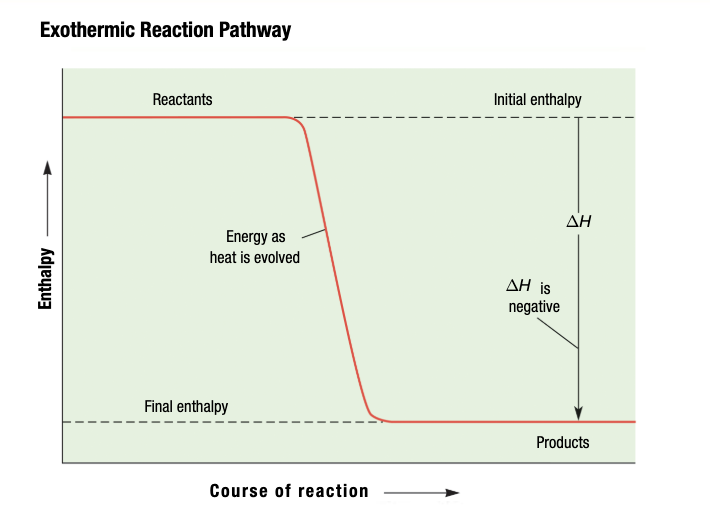<p>System releases energy to the surroundings</p>