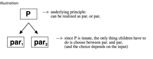 <ul><li><p>Principles:</p><ul><li><p>What is innate are rules, categories and operations which are common to all natural languages: universal principles that make up Universal Grammar (UG).</p></li></ul></li><li><p>Parameters:</p><ul><li><p>These underlying universal principles are parametrized; i.e., they leave open certain options whose choice is determined by the linguistic data of a given language.</p></li></ul></li><li><p> A parameter can be compared to a "switch": UG provides the switch as such, and every language determines whether a given switch is on or off (parametrization). </p></li><li><p>Children are therefore familiar with the switches (innate); they only have to find out on the basis of the input whether a given switch is on or off in their native language.</p></li><li><p>Consequence:</p><ul><li><p>On this assumption, grammar becomes flexible enough to account for crosslinguistic variation.</p></li><li><p>On the other hand, the set of rules a child has to acquire during language acquisition remains restricted enough to make sure it succeeds:</p></li></ul><p>→ The universal principles are innate.</p><p>→ The parameters are set when the language is acquired on the basis of linguistic input.</p><p>→ best known version of a P&amp;P theory: Government &amp; Binding Theory</p></li><li><p>Conclusion:</p><p>P&amp;P Theory è is the first theory of grammar that achieves explanatory adequacy, </p><p>→  i.e., it provides a good answer to Plato's problem!</p><p></p></li></ul>