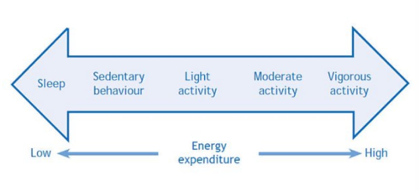 <p>sleep → sedentary behaviour → light activity → moderate activity → vigorous activity</p>