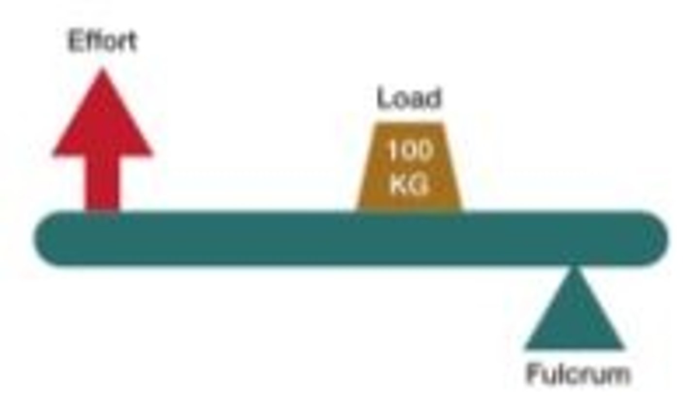 <p>the load is between the fulcrum and the input force; never changes the direction of the input force, example the hip</p>
