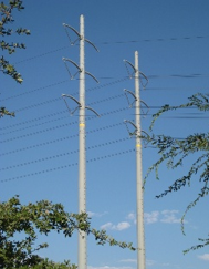 <p><span style="font-family: Aptos, sans-serif; line-height: 115%;"><span>These wires carry electricity that is ___ voltage but ___ amperage.</span></span></p>