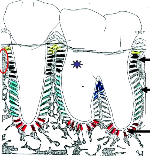 <p>What is this?</p>