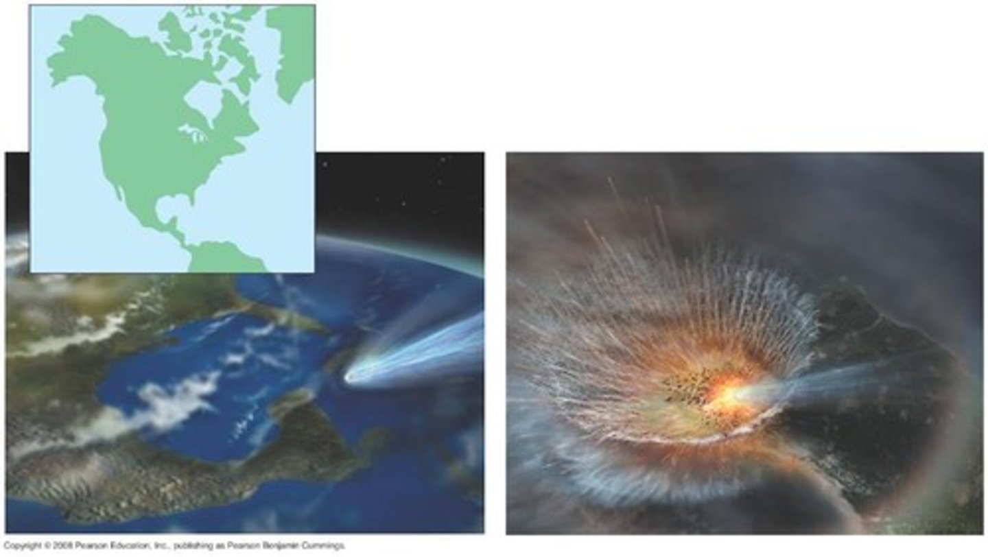 <p>An asteroid impact that created the Chicxulub Crater, blocking sunlight and disrupting food webs.</p>
