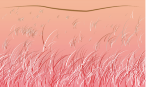 <p><span><strong>Texture Graditient: </strong>Details are too small to see when they are far away - known as texture gradient.&nbsp; areas closer to the viewer will look coarser, areas further away have a finer texture.</span></p>