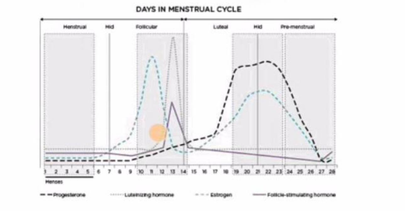 <p><span style="color: rgb(238, 240, 255)">12-14, which corresponds to the orange hot spot , indicating the time of ovulation and the LH surge</span></p>