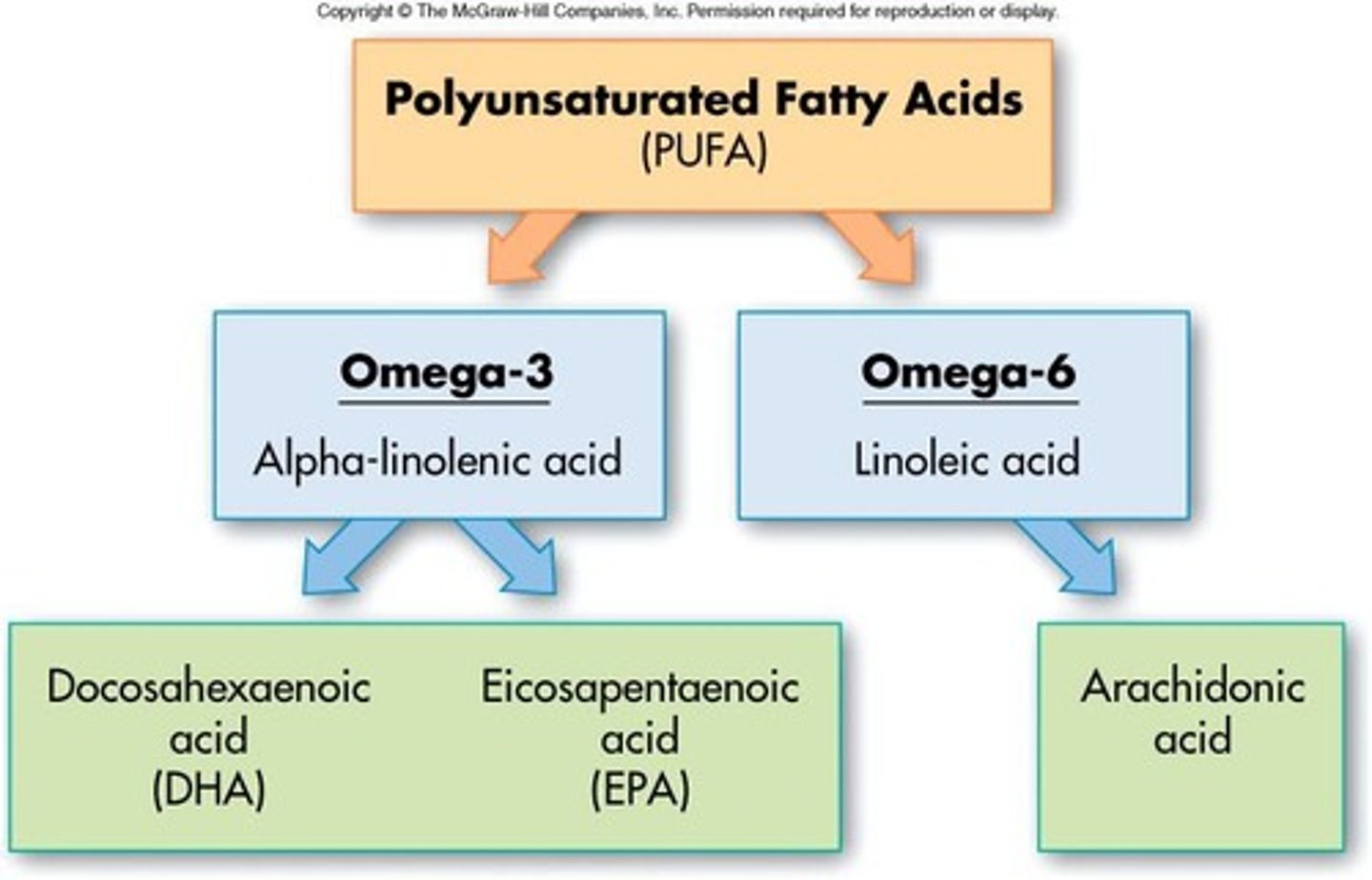 <p>Building block of hormones and bile acids.</p>