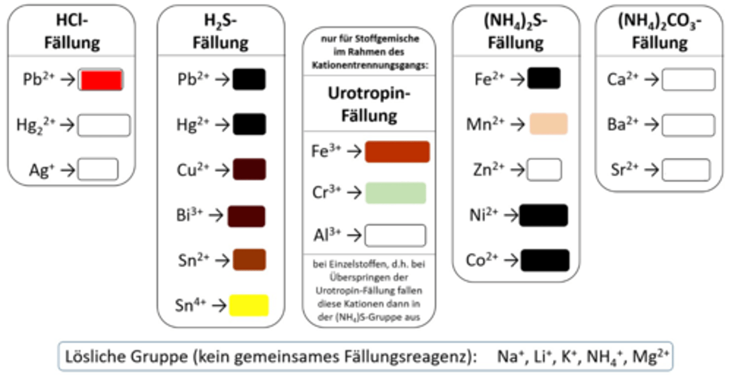 <p>Pb²⁺ NS (HCl)</p>