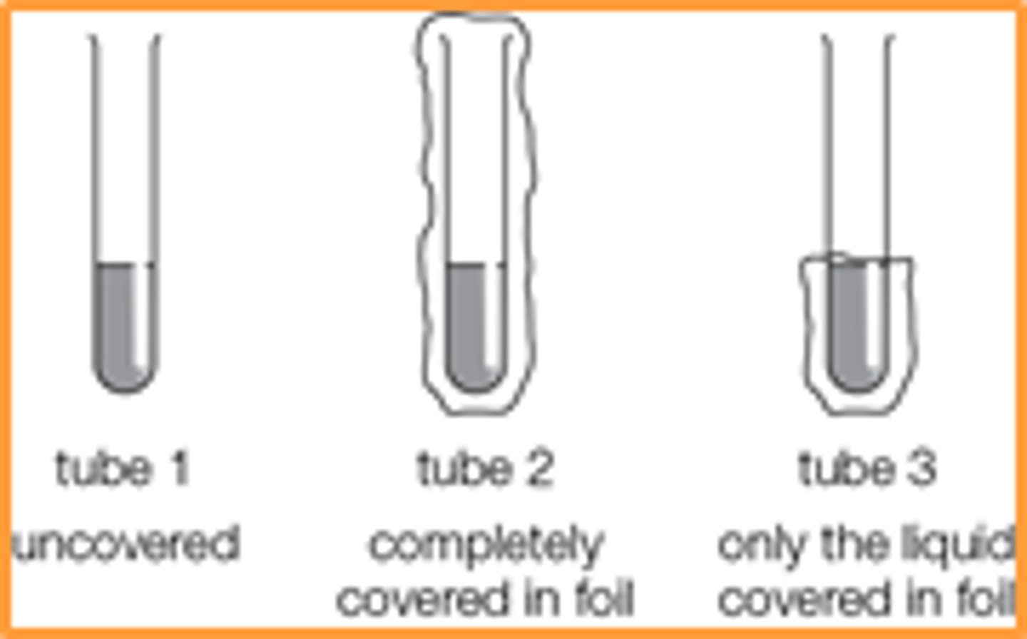 <p>Add hexane to three test tubes then add a drop of bromine to each and leave tube 1 uncovered, tube 2 completely covered and tube 3 has only the liquid covered in foil</p>
