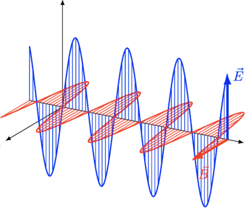 <ul><li><p>oscillating blue electric energy field &amp; red magnetic energy field wave</p></li></ul><p></p>