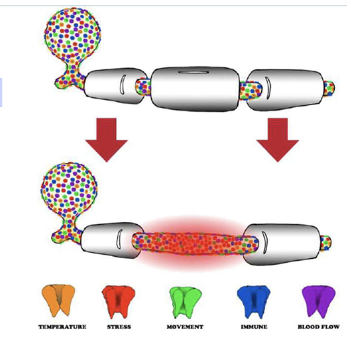 <p>what is myelin loss?</p>