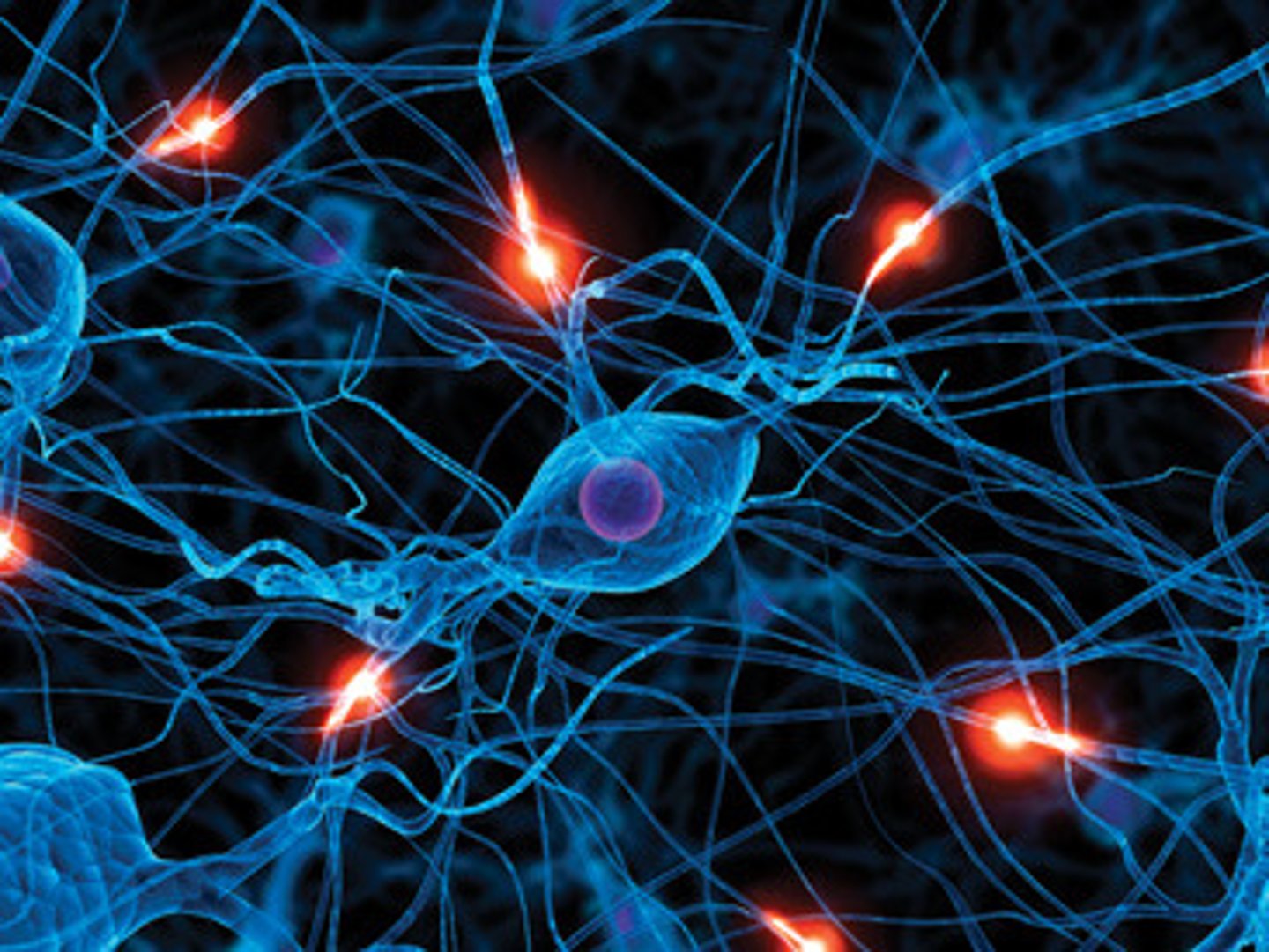 <p>It is the study of the <u><mark data-color="#e6e7c1" style="background-color: rgb(230, 231, 193); color: inherit;">properties of </mark></u><strong><u><mark data-color="#e6e7c1" style="background-color: rgb(230, 231, 193); color: inherit;">nerve cells</mark></u></strong>.</p>