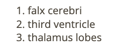 <p>c) third ventricle </p>