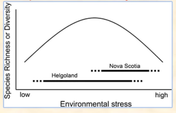 <p>there is more diversity with medium stress</p>