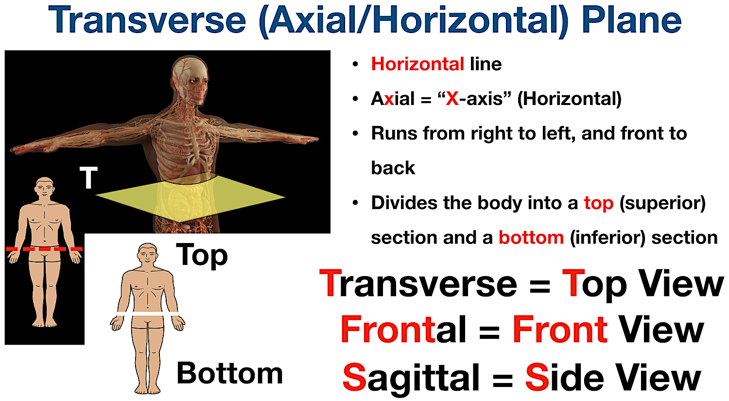 <p>Divides top and bottom</p>