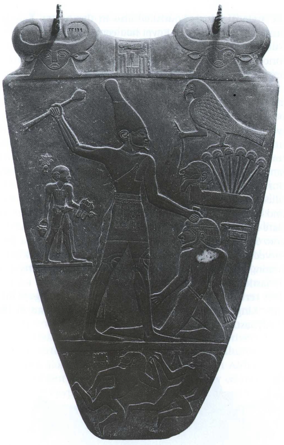 <p>Material </p>