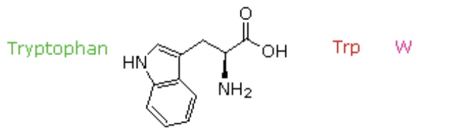 <p>Trp, W</p>