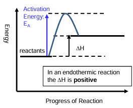 <ul><li><p>In an endothermic reaction the enthalpy change is positive </p></li></ul><p></p>