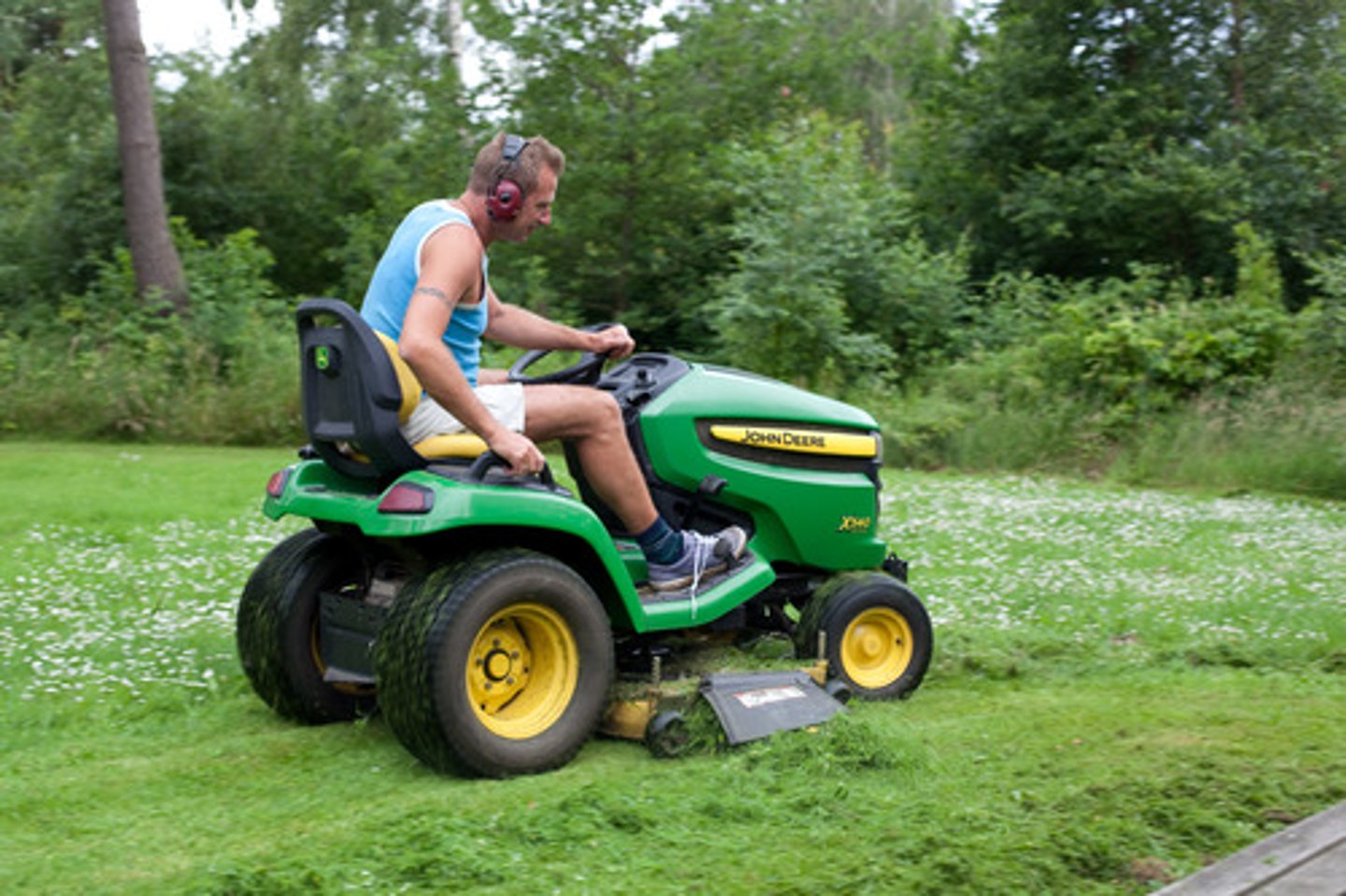 <p>the lawnmower</p>