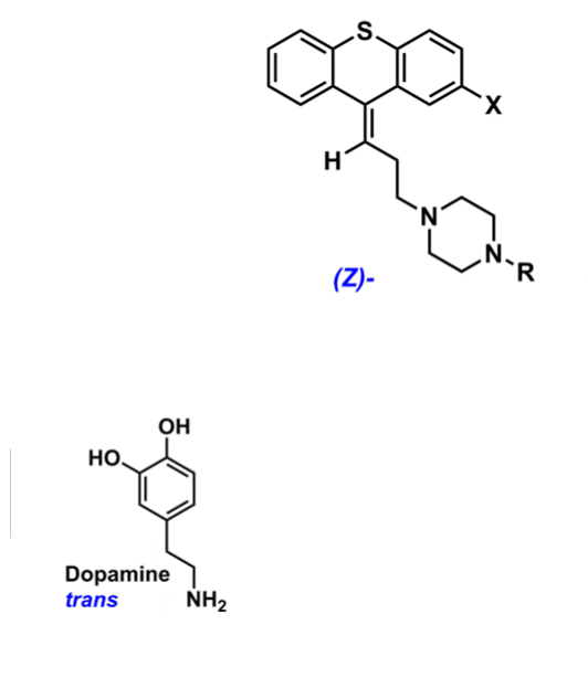 <ul><li><p>Z-isomer overlaps with trans-dopamine conformation&nbsp;</p><ul><li><p>piperazine and halogen on the same side&nbsp;</p></li></ul></li></ul><p></p><p></p>
