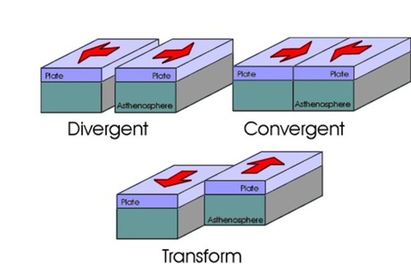 <p>Lithosphere is divided into plates in constant motion.</p>
