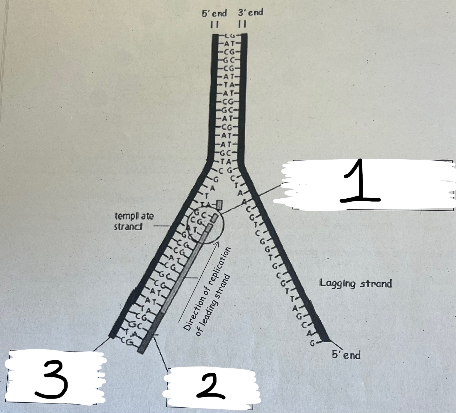 <p>Name boxes 1 , 2 and 3</p>