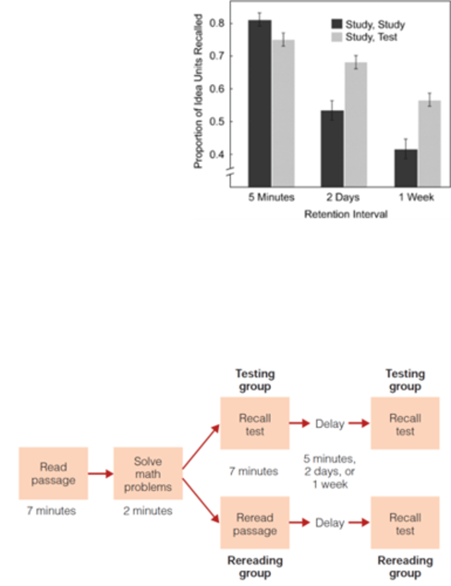 <p>enhances long-term retention by actively recalling information from memory</p><p>the repeated retrieval of an item of information from memory</p>