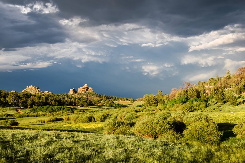 <p>Cheyenne</p>