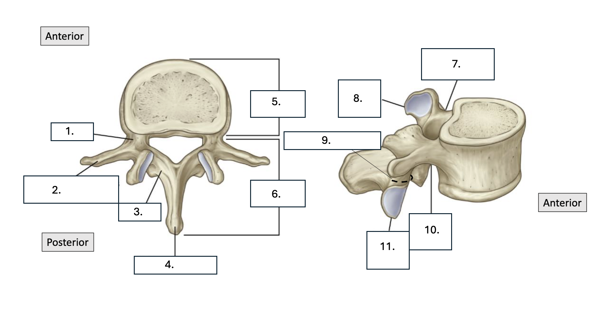 <p>What is number 11?</p>