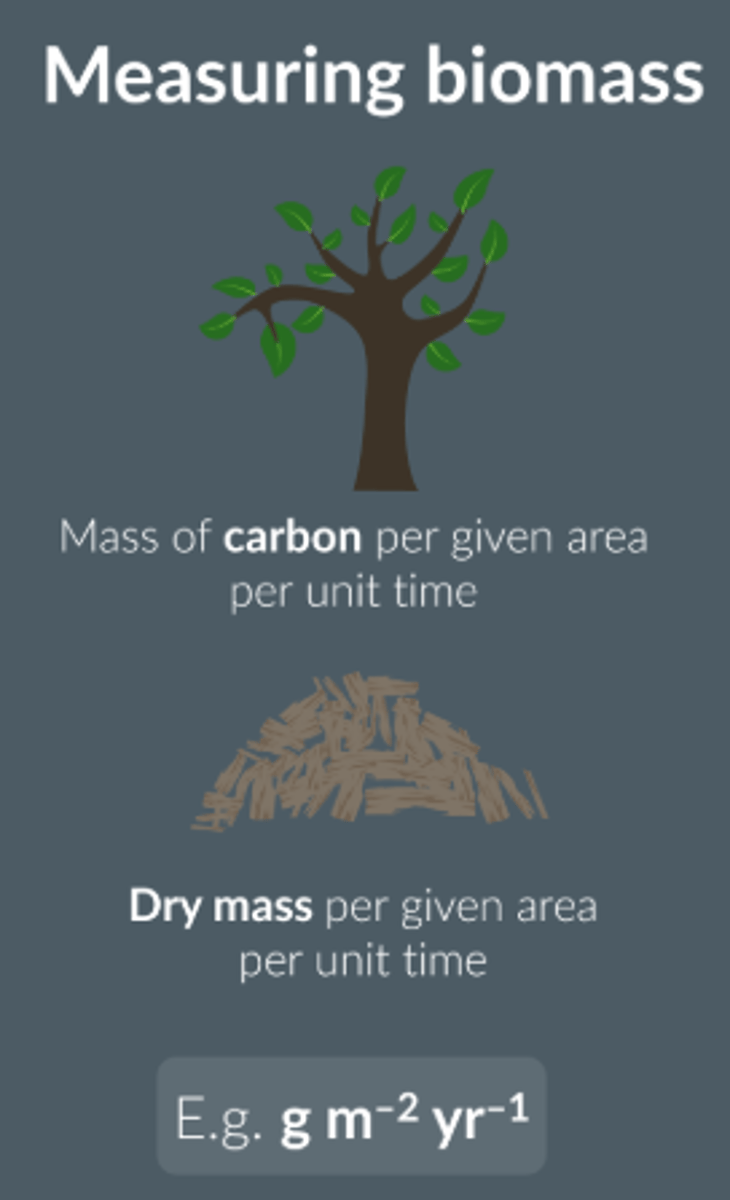 <p>Mass of carbon / dry mass of tissue per given area</p>