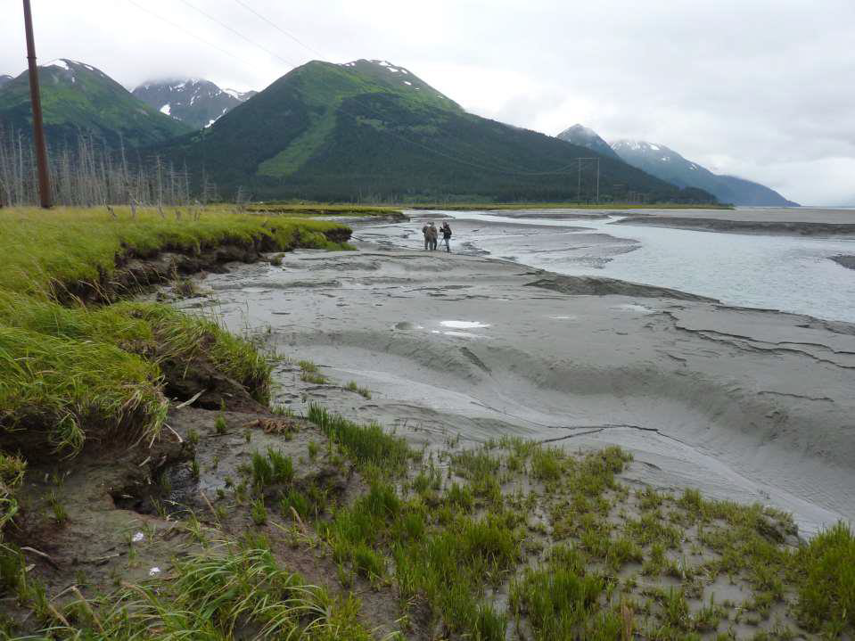 <ul><li><p>Once forest, but the roots are inundated by sea water due to changing water levels</p></li><li><p>Record massive EQs and collapse of the crust&nbsp;</p></li></ul><p></p>
