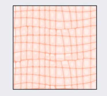 <p>Type of Tissue:</p>