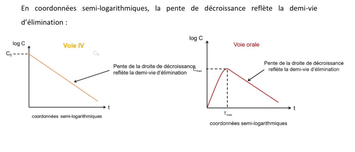 <p>La pente permet de lire la demi-vie dâĂ©limination</p>