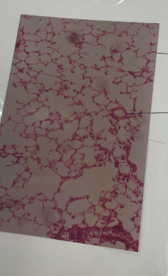 <p>what is this? what are the lines pointing to?</p>