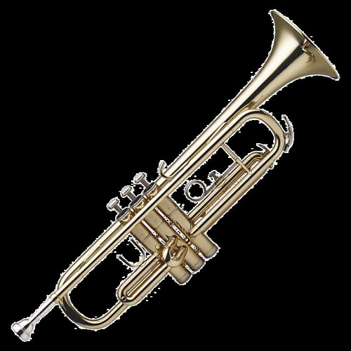 <p>trumpet</p>