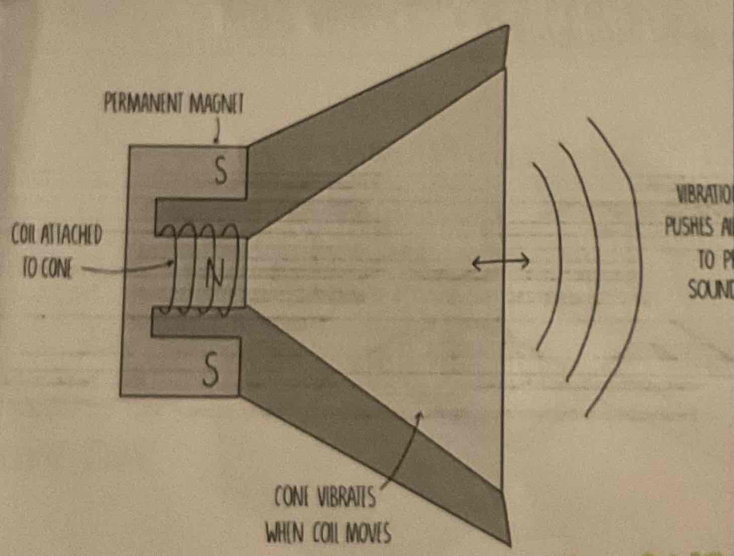 <p>Explain how a <strong>loudspeaker</strong> works</p>